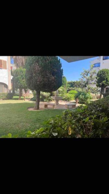 Estudio Montanar A 50 Metros Del Mar Jávea Extérieur photo